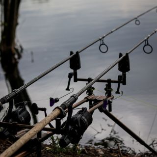 Boilies Warrior používám už nějakou dobu a musím říct, že u mě funguje skvěle. 👌💯 ➡️ https://www.carpstory.cz 💙Zažij s...