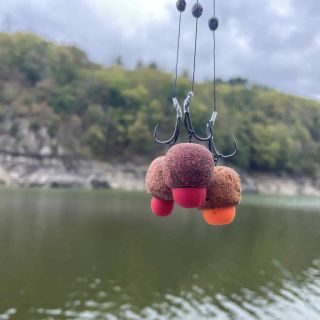 Orlické tažení v čele s Red queenou. Ryba moc nespolupracovala, ale něco se přeci jen povedlo. Krásný týden na vodě. ➡️...