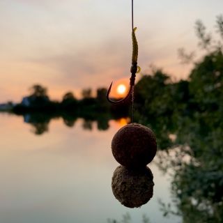 Jedna z nejcennějších ryb, kterou se mi povedlo ulovit na malé svazové 8ha vodě. Vzal si 24mm kuličku Pirate s 24mm Mr....