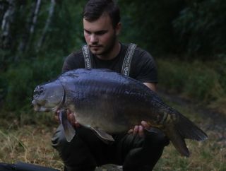 Krásní lysci ze svazovky Pop Up Ananas 🍍prostě funguje! 🔥 ➡️ https://www.carpstory.cz 💙Zažij s námi svoji 🅒🅐🅡🅟🅢🅣🅞🅡🅨💙